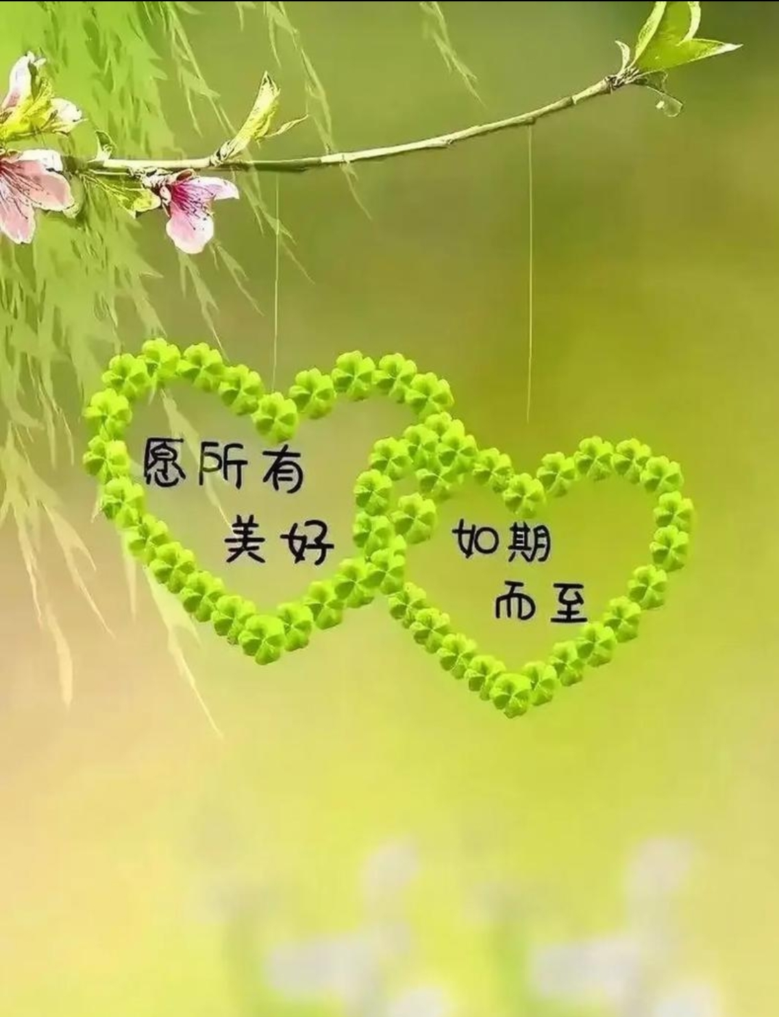 圖片1
